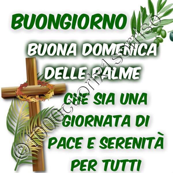 La molisana tweet media
