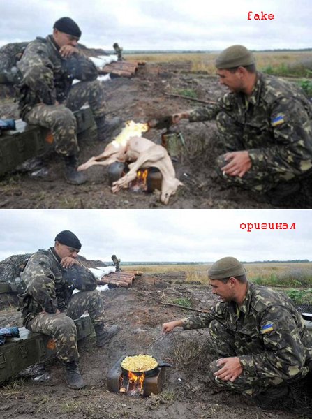 Животные в зоне АТО - боевые побратимы украинских солдат - Цензор.НЕТ 3391