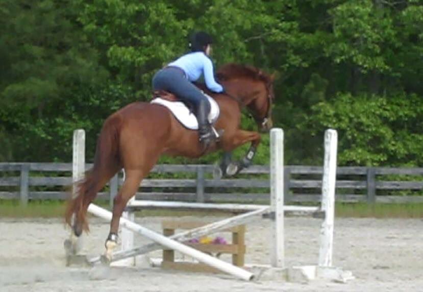 JumpingToBlue tweet picture