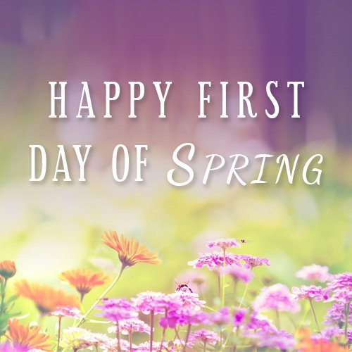 Spring has sprung! How are you celebrating the new season?