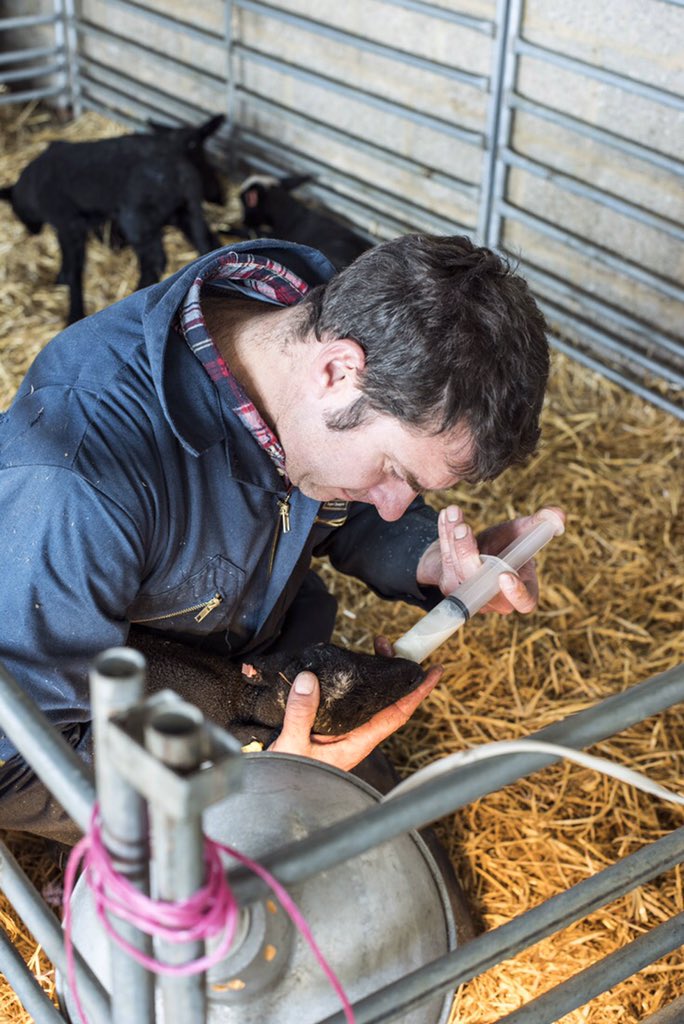 laurararaa's tweet photo. A year ago I shot these at @lisalarder @Morganfarmers for my #localfood project, I want to see the lambs this year?! https://t.co/isedCqEjxW