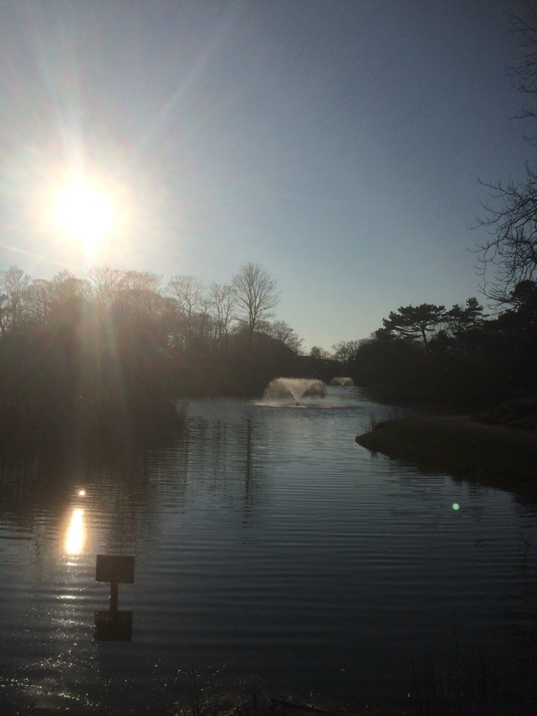 duneradioDAB's tweet photo. Hesketh Park @insouthport looking stunning in the Sunshine this Afternoon! @visandrewbrown @InsideSouthport https://t.co/BaM5fuOeDQ