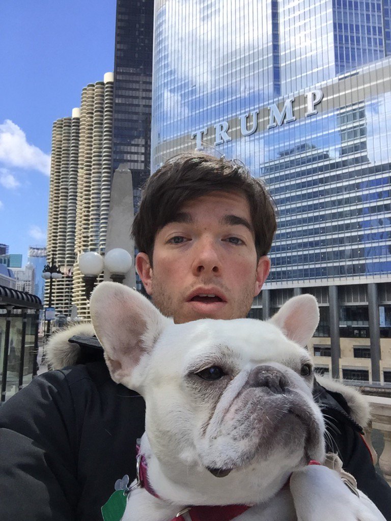 John Mulaney On Twitter Petunia Mourns The Sun Times Building Of