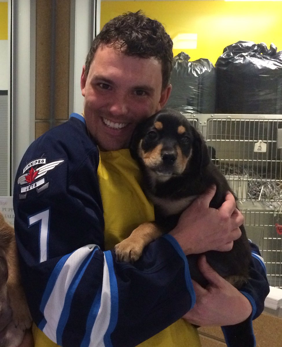 QX104winnipeg's tweet photo. This is Denver. If we get 104 retweets on this, @Brody_Jackson and Jenna are taking her home! #1001Donations https://t.co/yIVb9BjOna