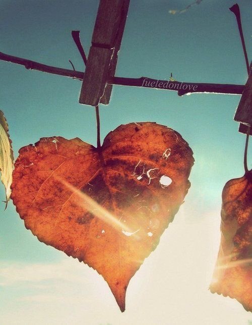 UnicaJeansOK's tweet image. Bienvenido #otoño 🍁🍂🍁🍂 #firstdayofautum