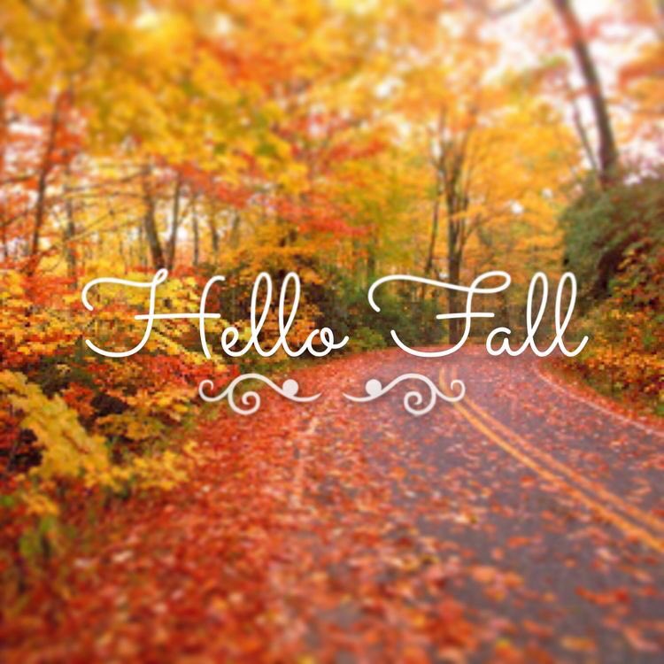 UnicaJeansOK's tweet image. Bienvenido #otoño 🍁🍂🍁🍂 #firstdayofautum