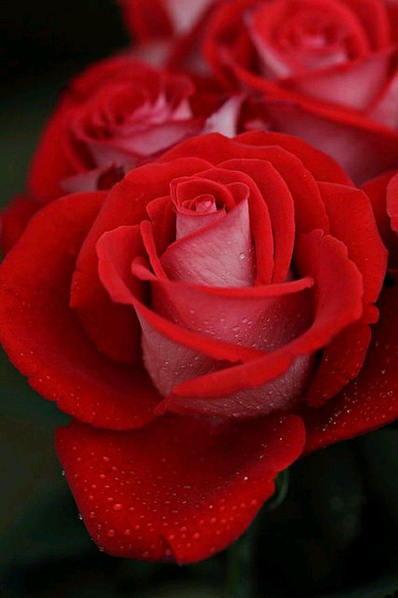 f0shi8o1's tweet photo. #الفاتنه_دلع_مليون_متابع
🎀🎈🎀🎈🎀🎈
#مبروك_شاهدين_ڵـڱ_بالخير
🎀🎈🎀🎈 
#حساب_راقي
🎈🎀🎈
@_5l5_ 
🎀🎈
��� https://t.co/1UfzBN93hu