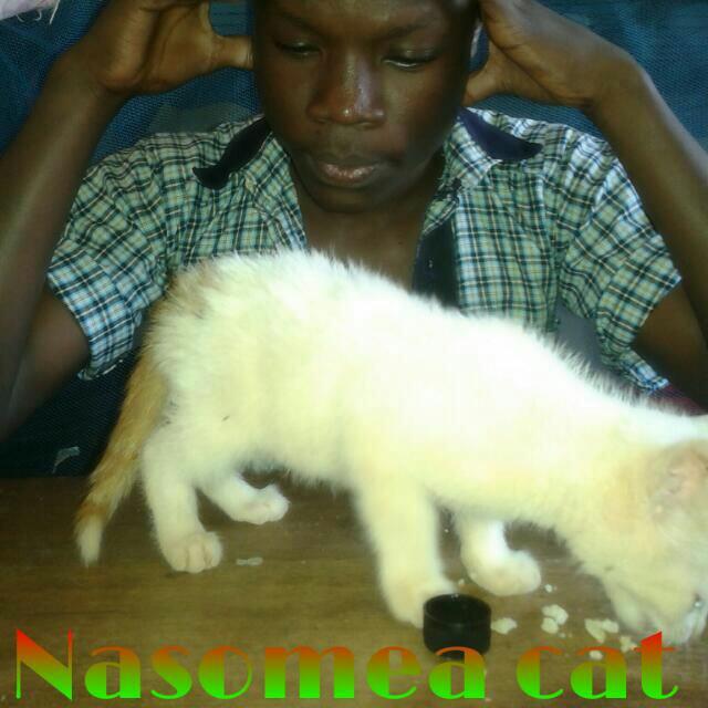 aarongich's tweet photo. #YouKnowWeekendIsOver when yo friends be like yooh!!»»»niko busy..pap! https://t.co/QHs7BhSUQF