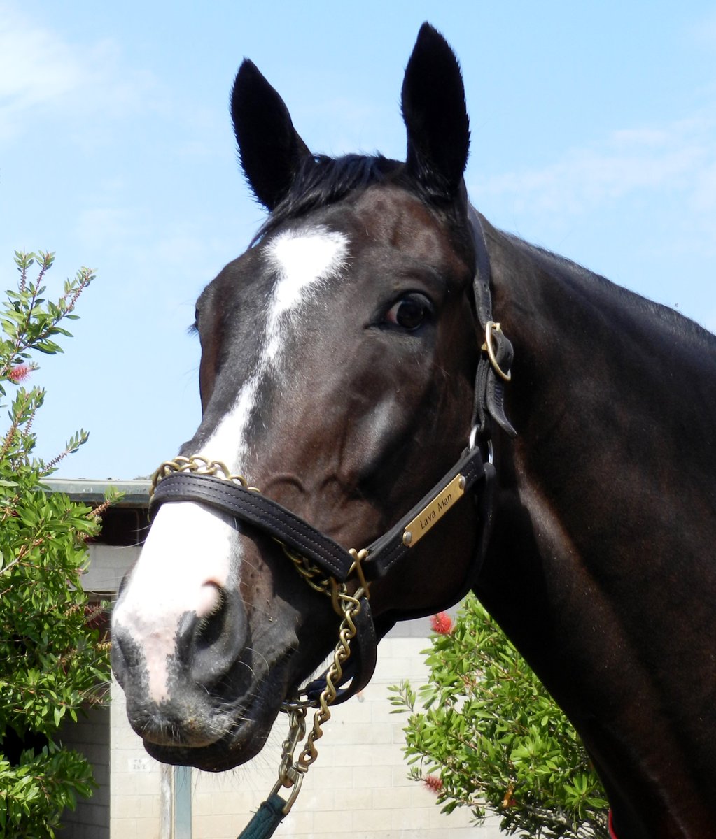 Happy Birthday to me, Happy Birthday to me, Happy Birthday to me and many more cookies please!! 15 years old today.