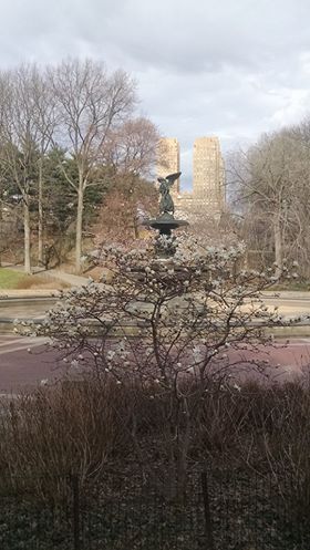 MeghanGayle's tweet photo. It's here, it's here it's really here! Hanging in NYC for #phrmForum 2016! Central Park in bloom! @PharmaForum_CBI https://t.co/DRJXVzgi95