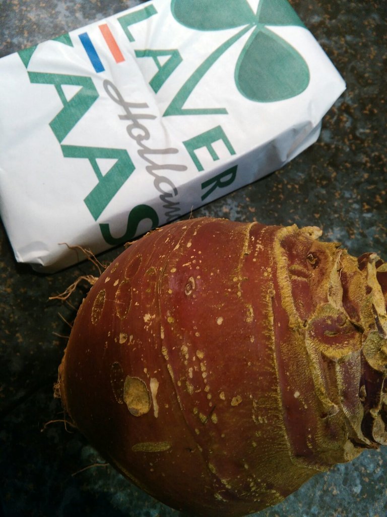 westhoffbert's tweet photo. Voordeel van een zachte winter; nog verse #koolraap op de #moestuin. Lekker voor "knollen met @KlaverKaas " #smullen https://t.co/Kh29yKZEeZ