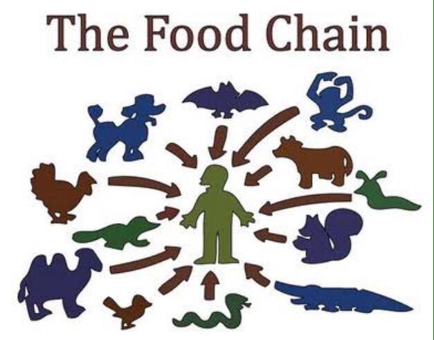 Simpsons_tweets's tweet photo. You see, your crazy friend never heard of The Food Chain. https://t.co/O6wLTaqp4F