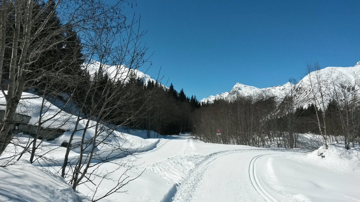gigio_laser's tweet photo. Una pista va l'altra l'altra torna vietato tagliare!!!! 😆😆😆 #scidifondo #Spluegen #swiss #snow #alps #mountain https://t.co/pn8xkgIEcB
