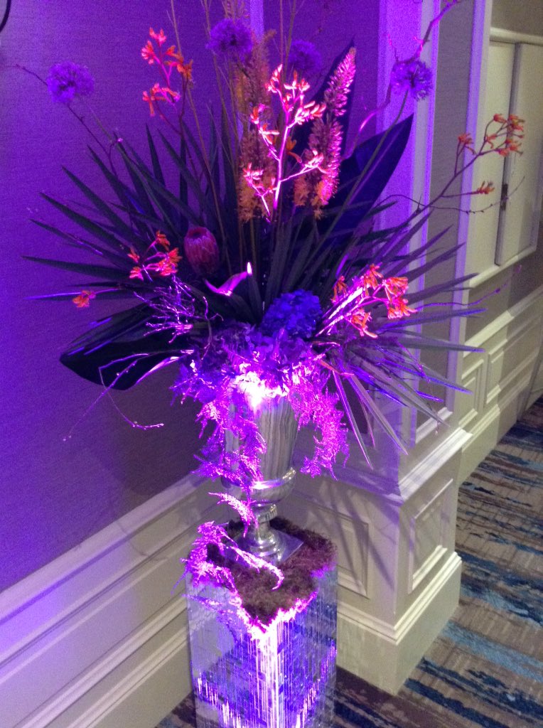 image_magazine's tweet photo. Lights, flowers, action @shopthegarden beautiful flowers make for a beautiful night ❤️❤️ #imageBoB2016 https://t.co/3DD0pZ6dWh