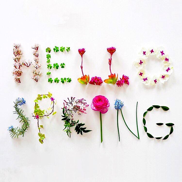 TSUDPHIE's tweet image. 🤗🌷🌺🌻🌾 #overthecold