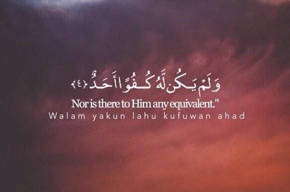 3thbinho's tweet photo. سو رتويت لعلها تشفعك يوم القيامة 🙏💕 https://t.co/kDYn1zj126