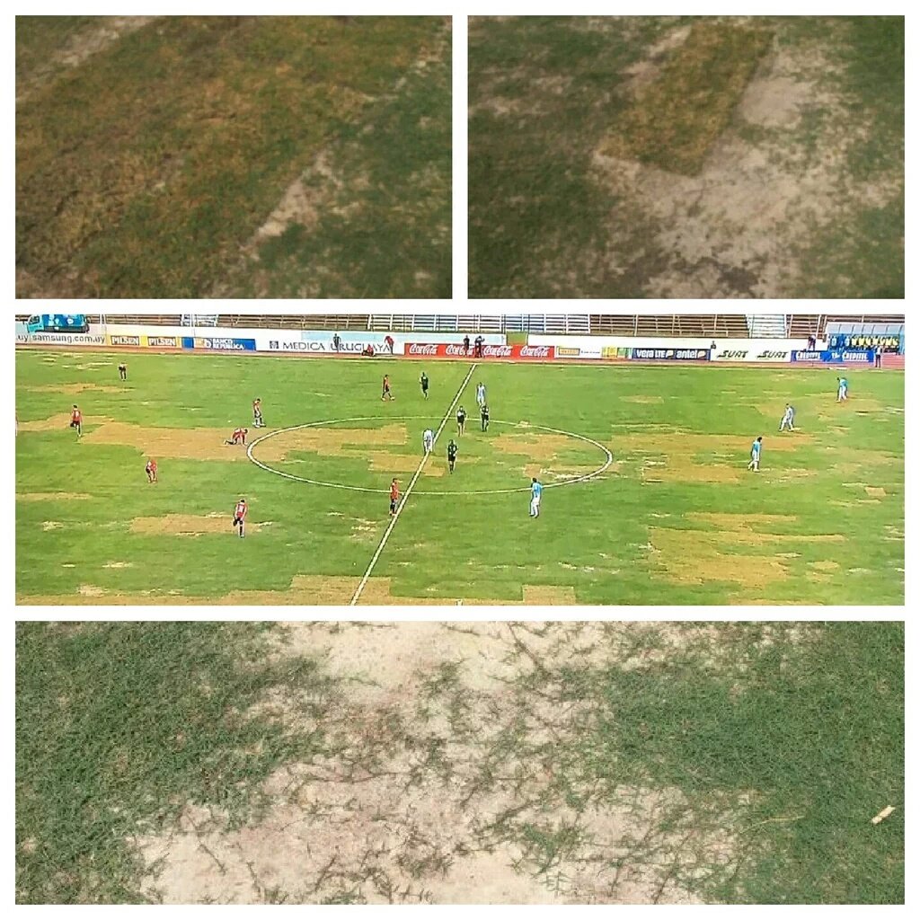 Elduendetrico's tweet photo. Lamentable ruedo del Prado mejor que el Trocolli ¿cuál es el potreto? https://t.co/B2gR99C0dW