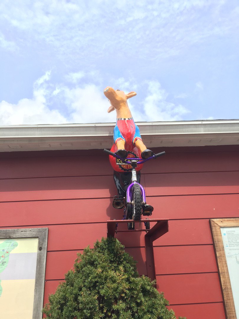 Young's Bike Tour tweet media