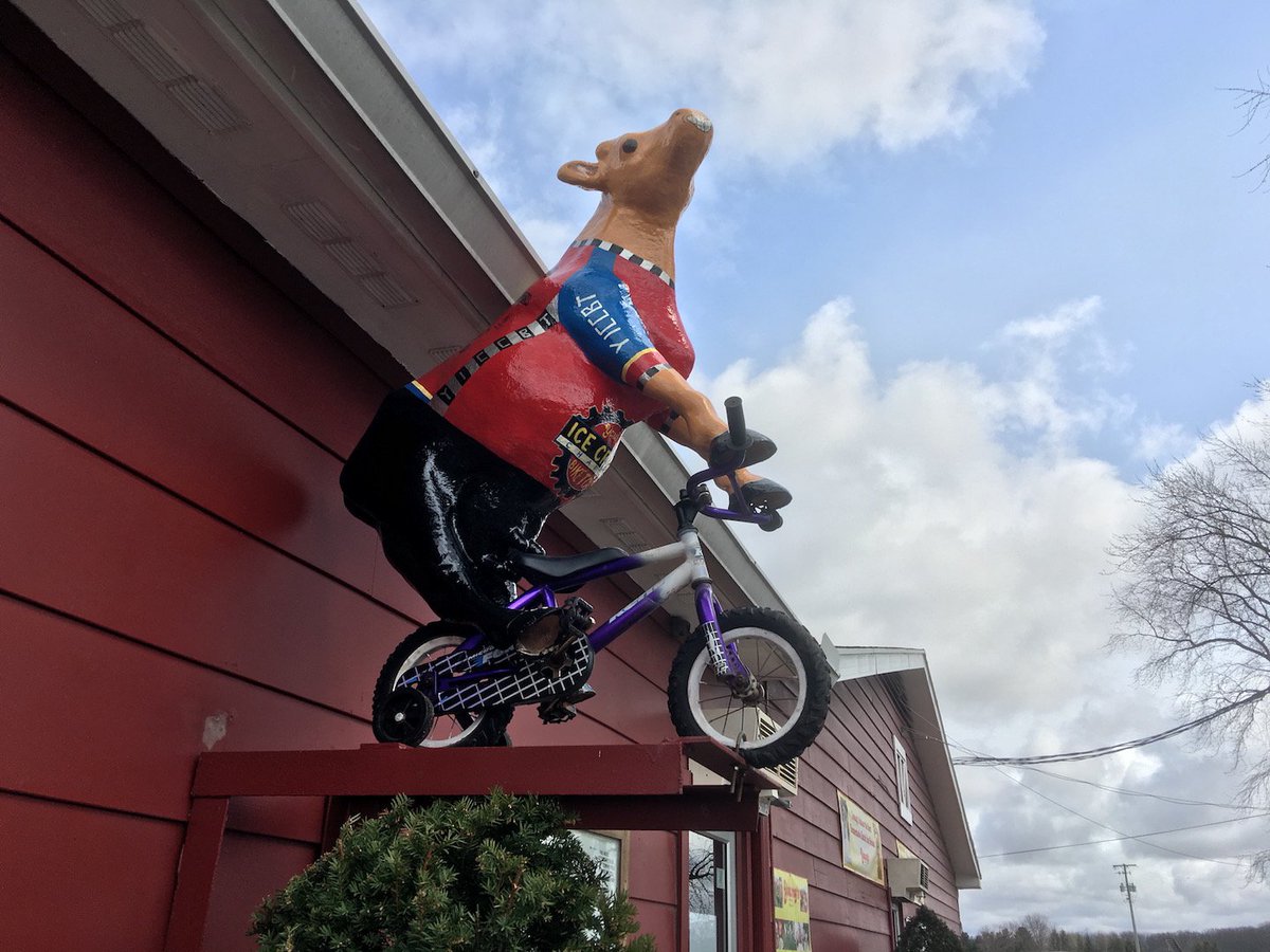 Young's Bike Tour tweet media