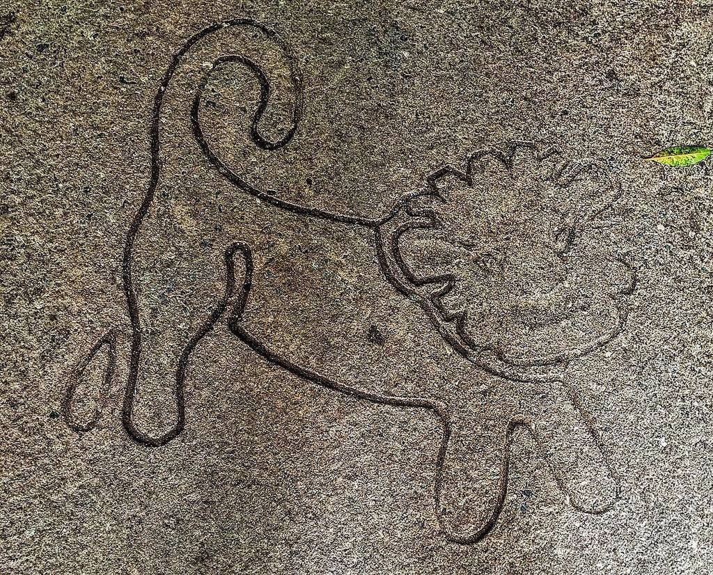 lilbunnichelle's tweet photo. It's also #simbasunday π¦ #simba #lionking #ak #dak #animalkingdom #wdw #waltdisney #WaltDisneyWorld #disney #disneyβ¦ https://t.co/LCdooWSMgZ