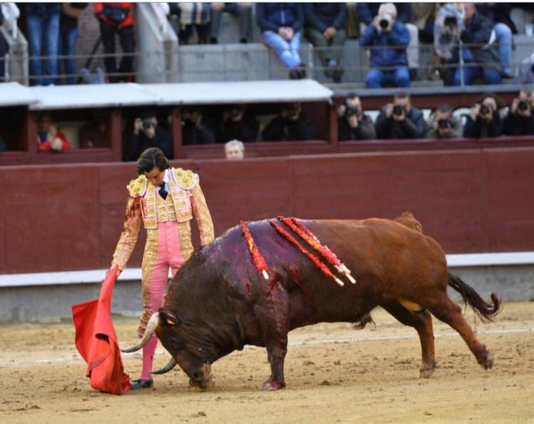 TorosTorrealba's tweet photo. https://t.co/oBGOobnVpZ