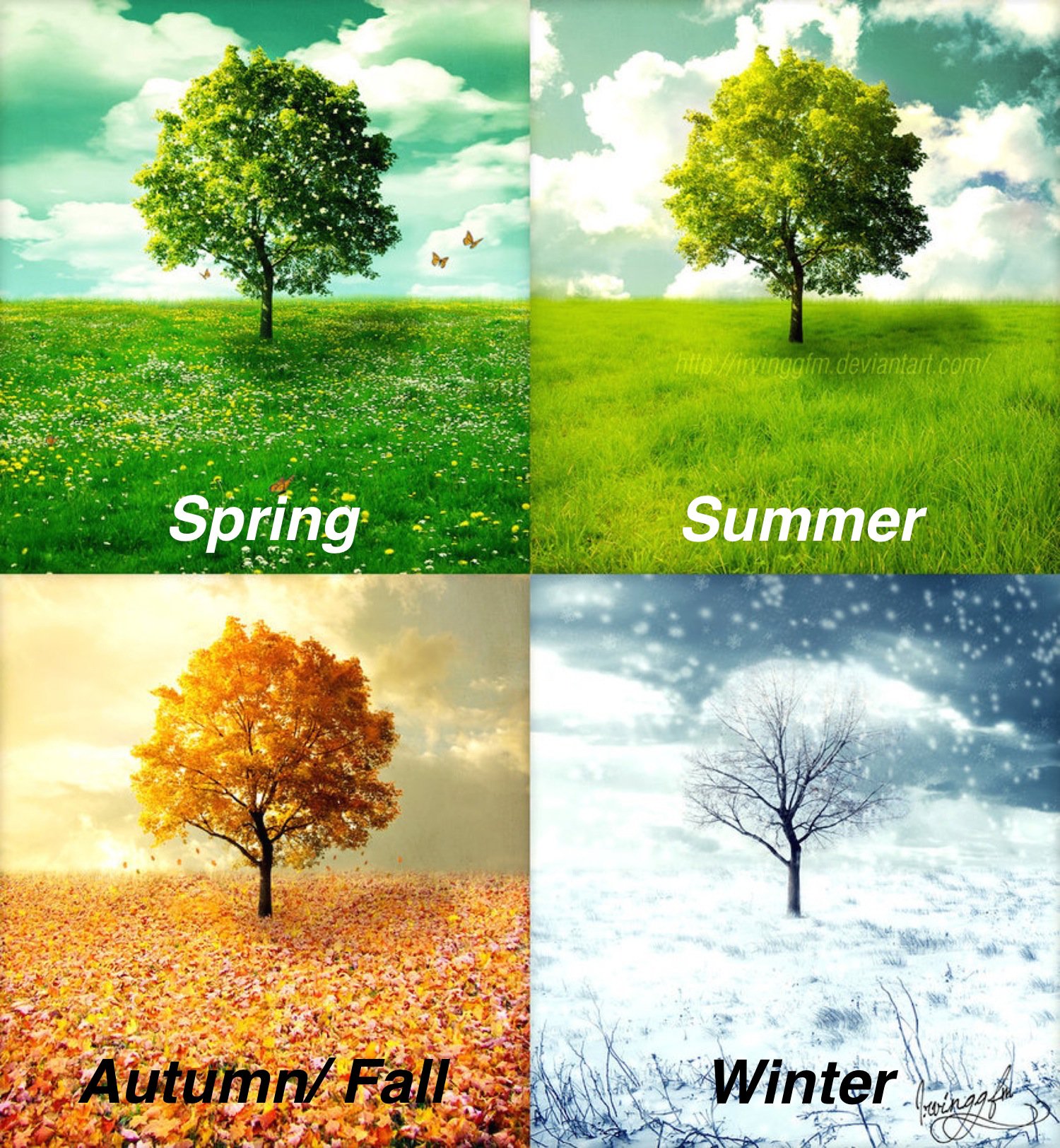 تعلَّم الإنجليزية معنا on Twitter: "الفصول الأربعة: Four Seasons