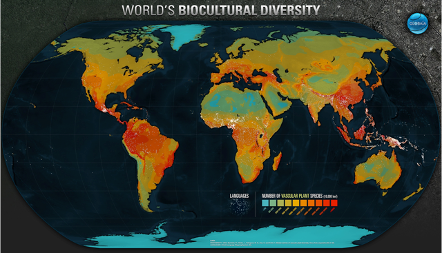 11 reasons bees matter wef.ch/1YrWSK8 #environment