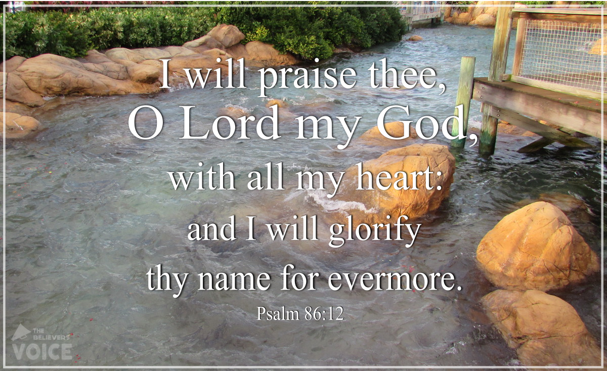 CliffWilkin's tweet photo. MT @TBV_Post: I will praise you, Lord my God, with all my heart... https://t.co/cVti3nNXXY #RenewUS #PJNET