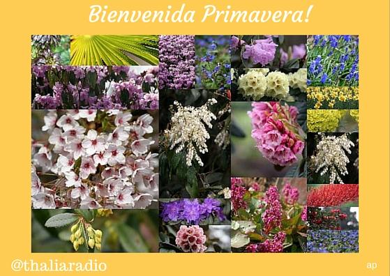 thaliaradio's tweet photo. Demos #gracias por disfrutar de otra #primavera más! #thaliaradio #thalia #gratitud https://t.co/Q78qHP7sQI