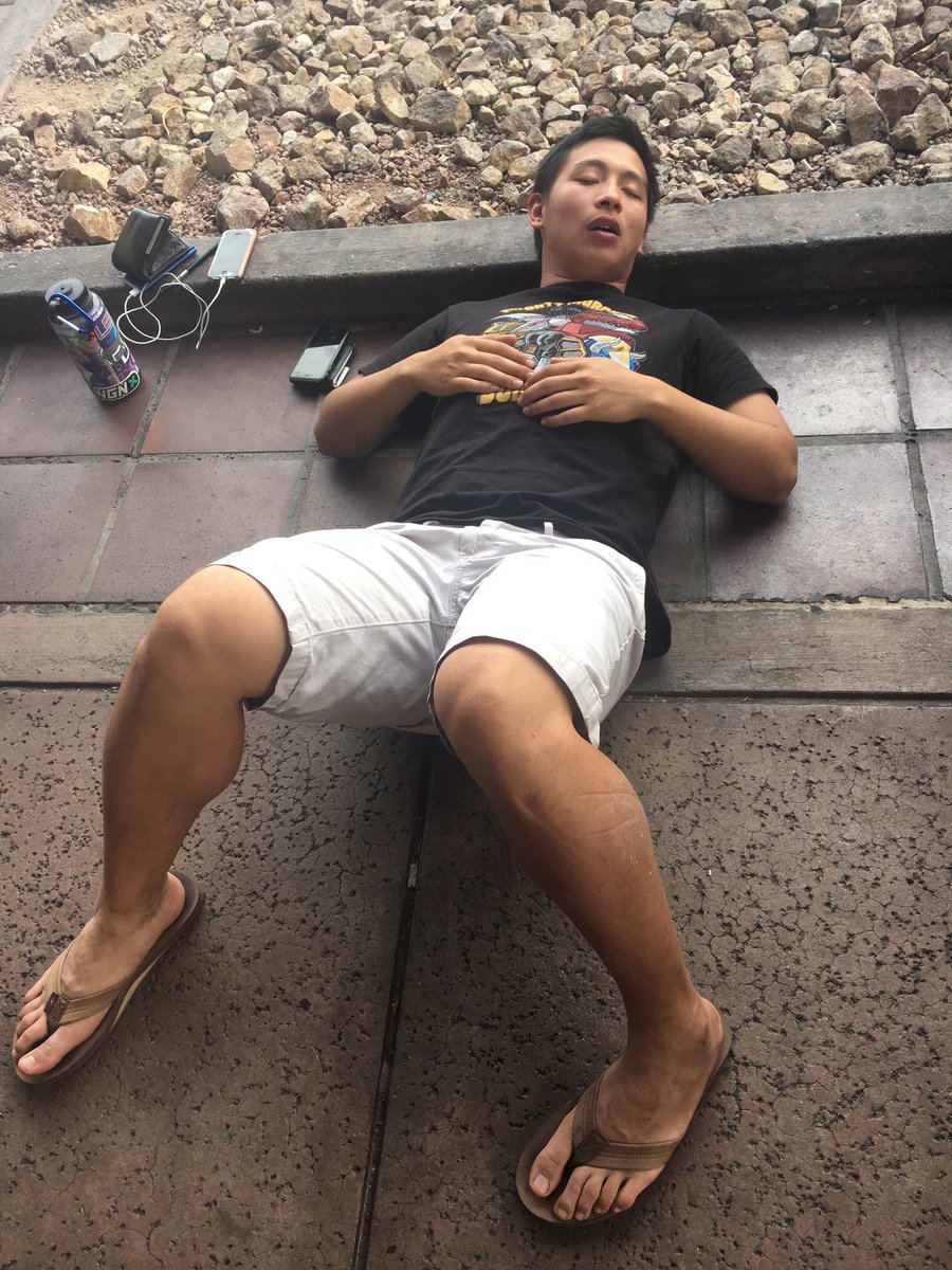 FluffyUltimate's tweet photo. Looks like he found a more comfortable position. https://t.co/VTRMNUlwLw