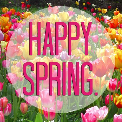eppasangria's tweet photo. Cheers to spring! #EppaSangria https://t.co/lF8GpA5goG