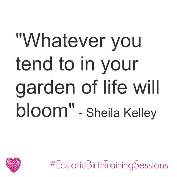SFactorNY's tweet photo. "Whatever you tend in your garden of life will bloom." - @thesheilakelley #gonaked #trustyourtruth #SfactorNY https://t.co/HpEYjZ52rJ