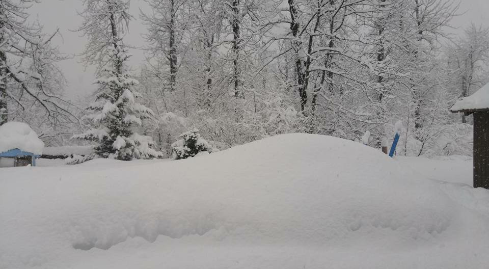 LFTC_fringe's tweet photo. Remember a pic of @DawsonMooreAK's backyard from last week? Michael Holcombe posted this shot of it as of yesterday. https://t.co/9p1UznbYbO