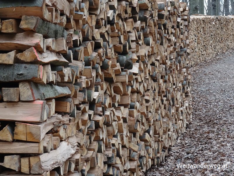 #Holzstoß im #Wienerwald, Februar 2016