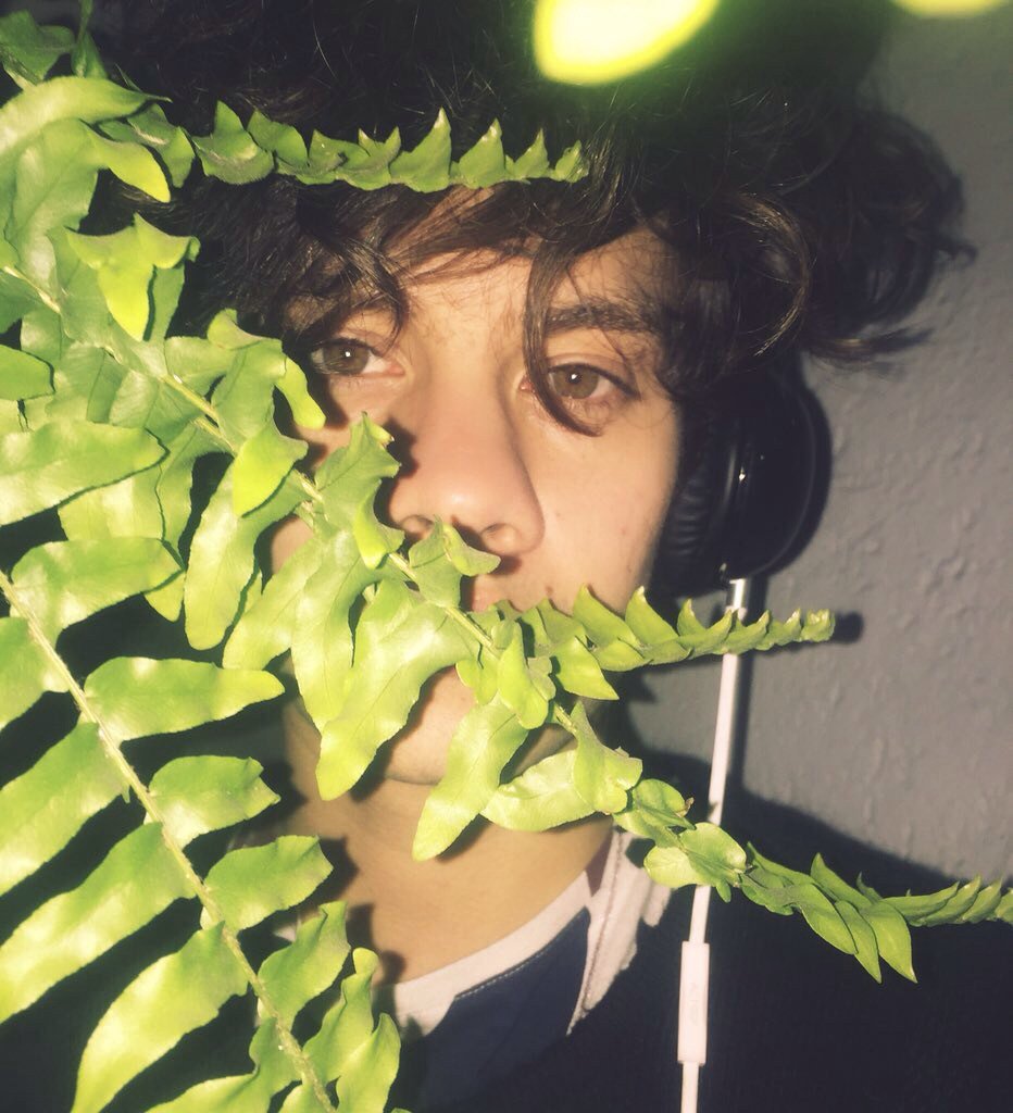 BryanParodyOf's tweet photo. 🍃🌲🌳🌿 https://t.co/jPYeLeHsM6