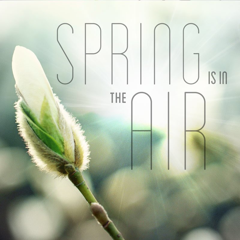 brim.coffee tweet media