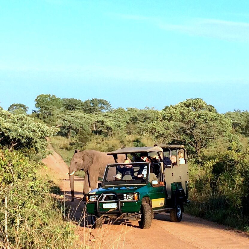 MasterclassAprl's tweet image. #Masterclassman adventures continue: safari day at Kruger National Park @SANParksKNP