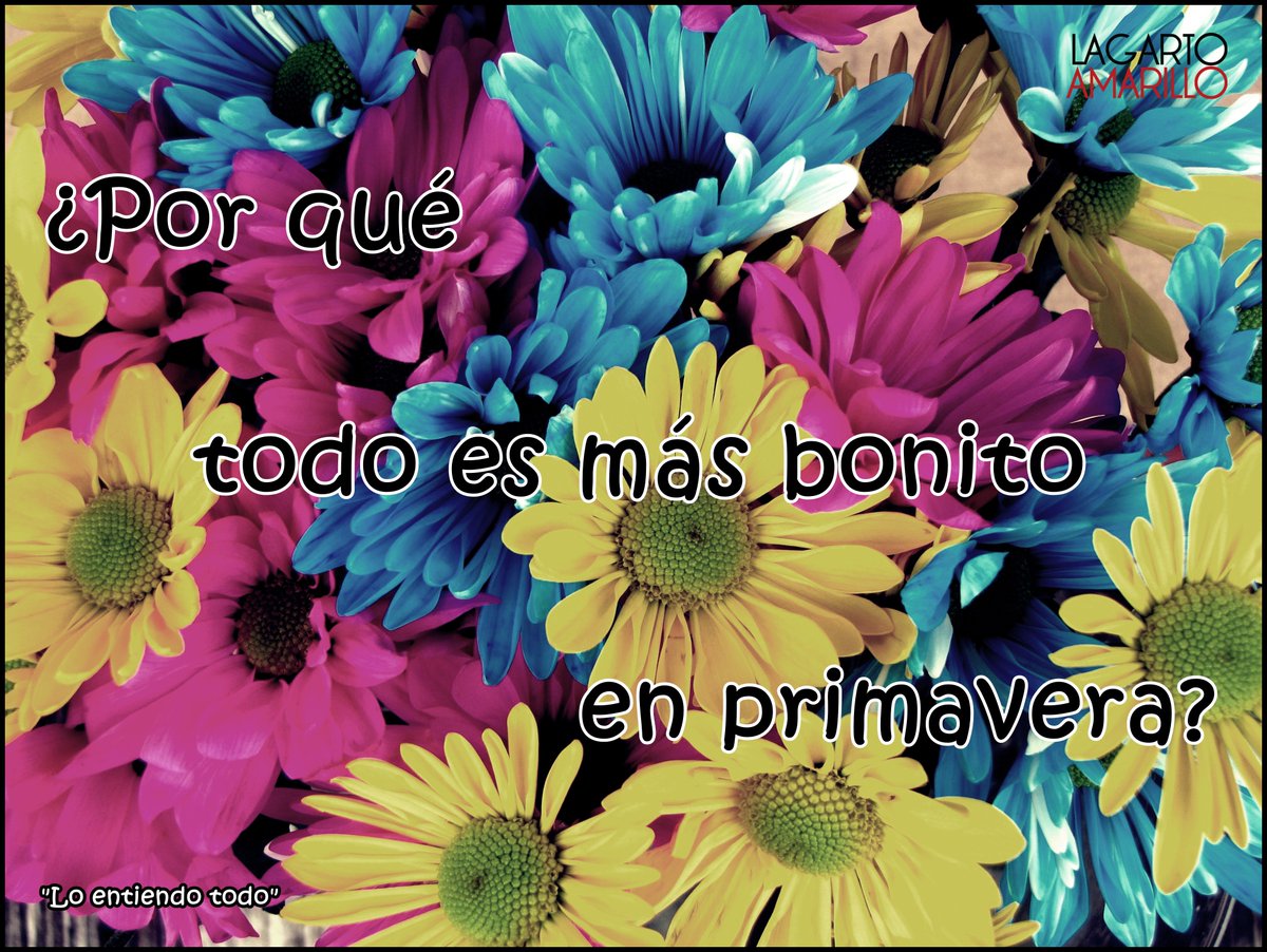 PabloMoraNorte's tweet photo. 【¿Por qué
todo es más bonito
en #primavera? 】🌻

#LoEntiendoTodo 🎶 @lagartoamarillo https://t.co/AKU8GkVfaU