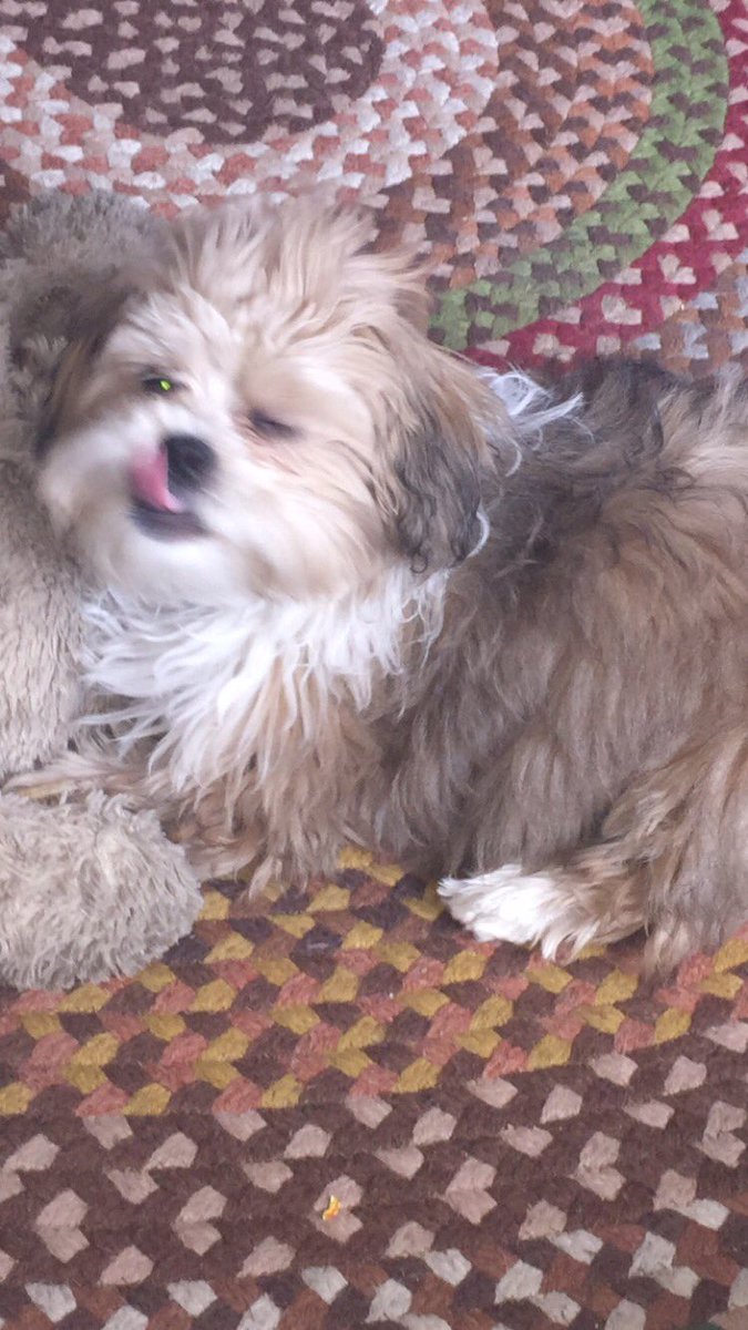 yeahitsgracie's tweet photo. https://t.co/1JnwT9q61q
