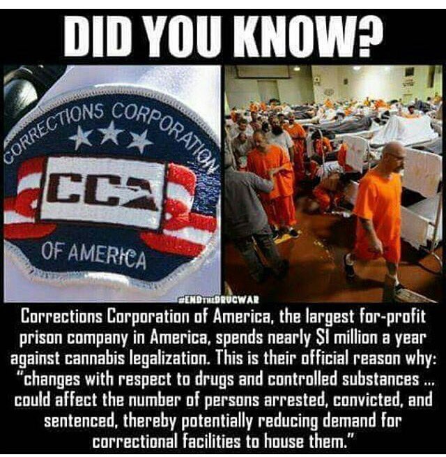 uckingNutz's tweet photo. #legalize #weed #cannabiskillscancer #marijuana #growyourown https://t.co/hj3IvuyPki
