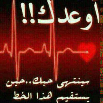 6c55's tweet photo. قرار..الاخير https://t.co/ZLQvPMR0Op