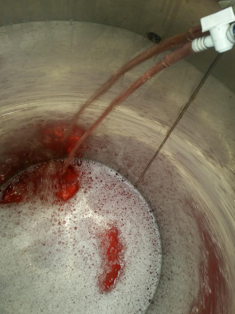 CellarPlus's tweet photo. My 2016 #mornington #rosewine #fermenation. Is #cold #settled and ready to ferment. liking the juice test results https://t.co/SgtuvTsB8B