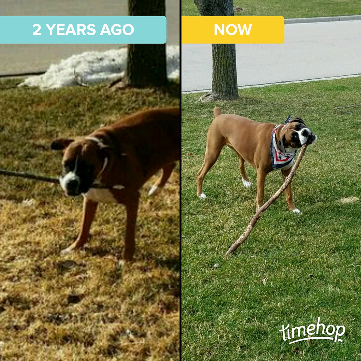 bikermommab's tweet photo. Exactly 2 years ago today! via @timehop #firstdayofspring #walksoftlycarryabigstick
#somethingsneverchange https://t.co/lS4v5RLHJU