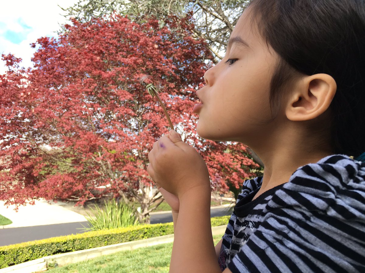rochele's tweet photo. Welcome, Spring! https://t.co/YU9fY34GCb