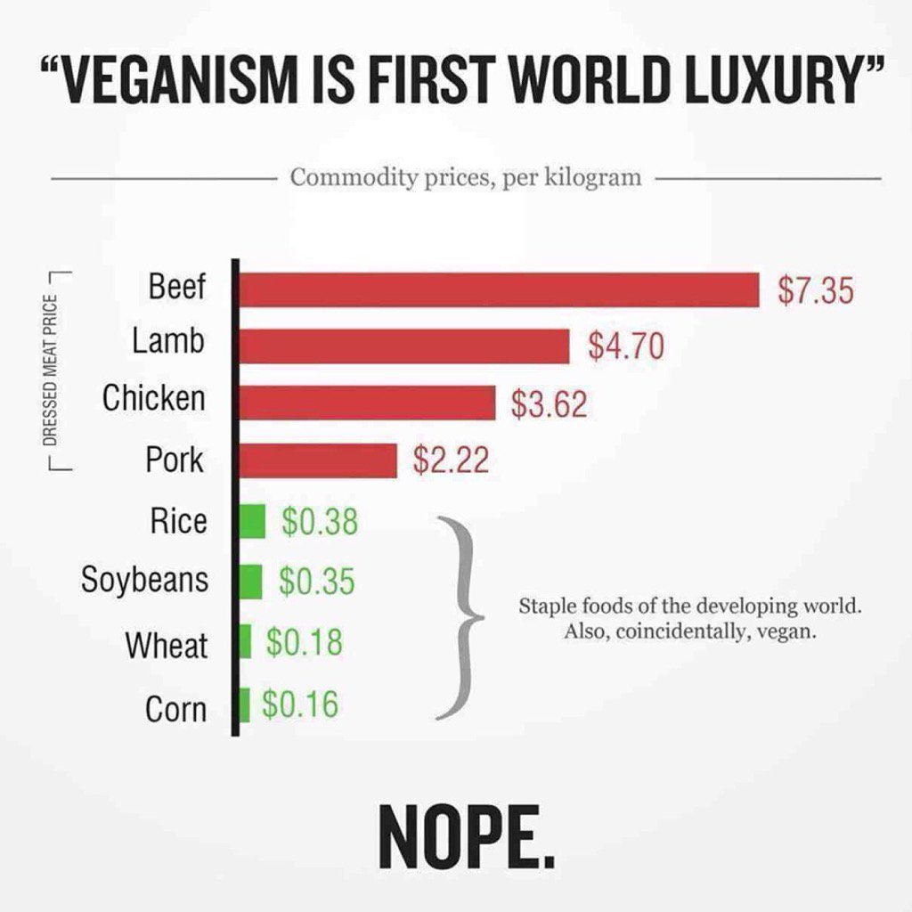 Nina and Randa tweet media