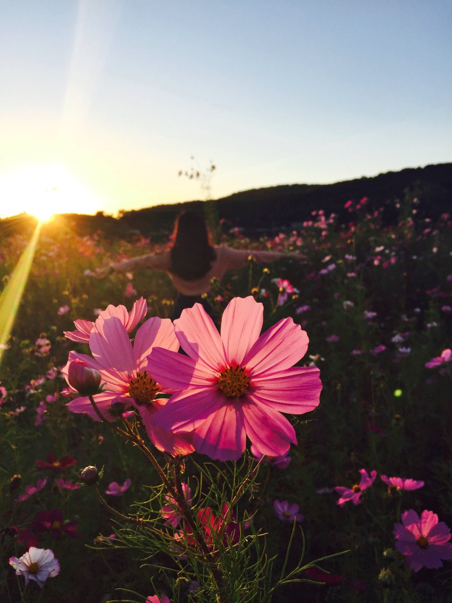 DAFNI_hair's tweet image. It&apos;s the first day of #spring! Pictured: our #SpringGoals
