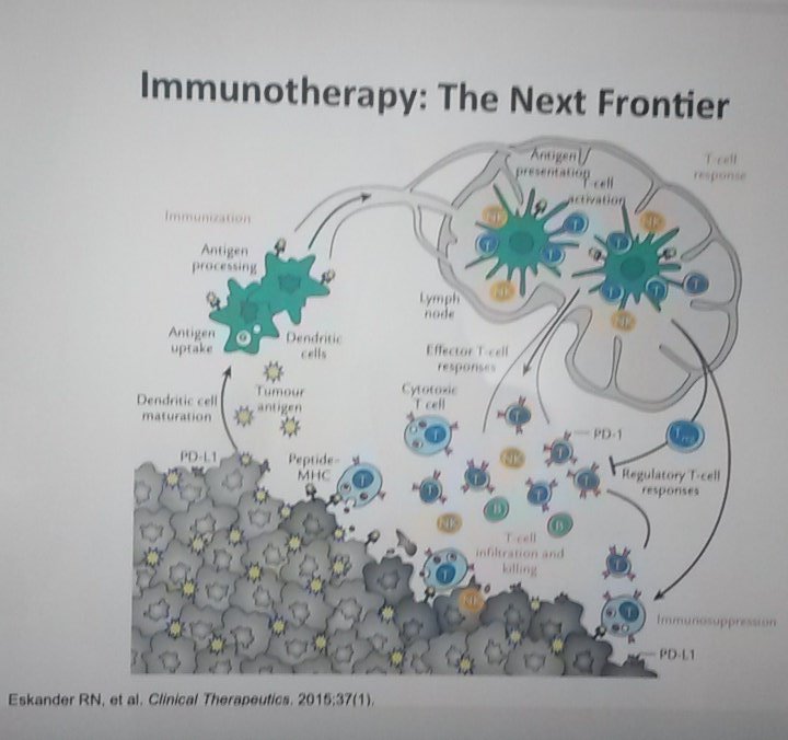 OncologDr's tweet photo. #SGO2016  immunotherapy the Next Frontier https://t.co/jW88Tt88Dz