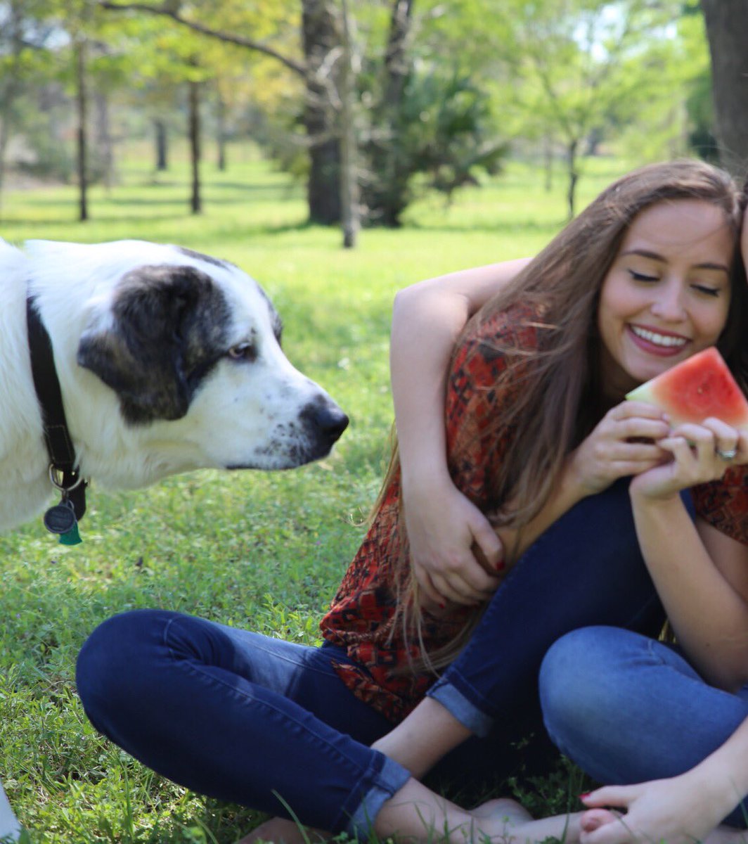 KristinJohns's tweet photo. Every time Piglet is invited to picnics..😒🍉 https://t.co/jj7vBubKjj