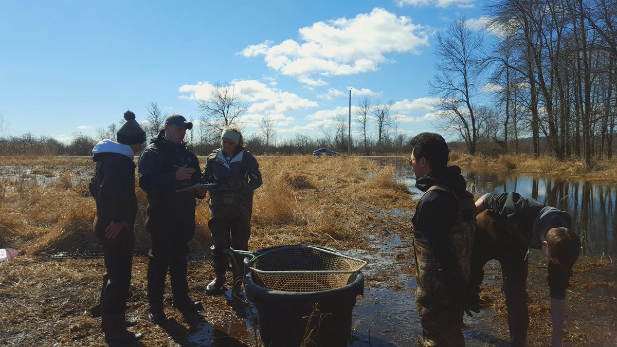 BarlamentJo's tweet photo. And the Pike keep coming in! #fieldwork #NOPeggmortality https://t.co/al6WTCXifO