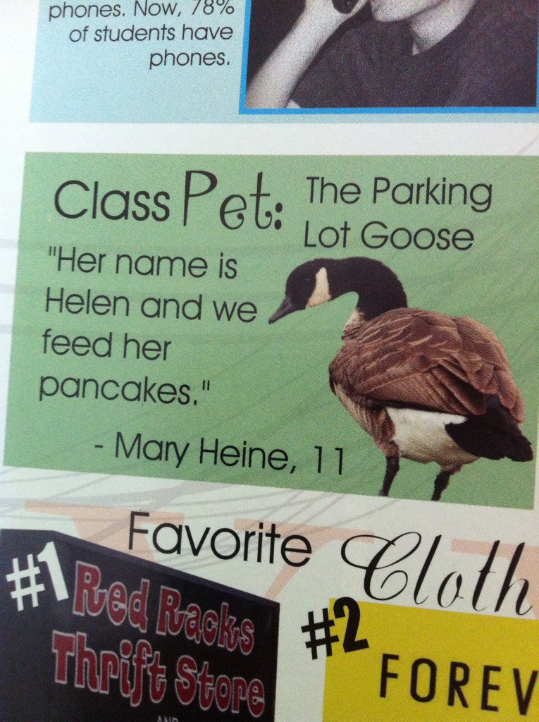 bmdean1205's tweet photo. Nostalgically going through yearbooks when I find this gem @MaryHeine1 https://t.co/HF5cJkbJIp